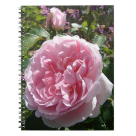 Garden Pink Vintage Rose Blumenladen Blume Noteboo Notizblock