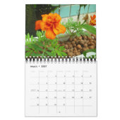 Garden Pool Calendar 2013 - Klein Kalender (Mär 2027)