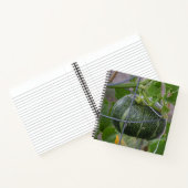 Garden Pumpkin-Notebook Notizblock (Innenseite)