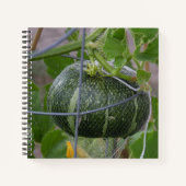 Garden Pumpkin-Notebook Notizblock (Vorderseite)
