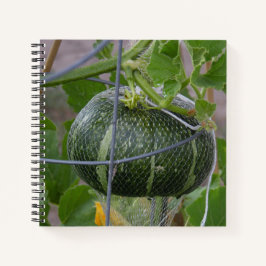 Garden Pumpkin-Notebook Notizblock