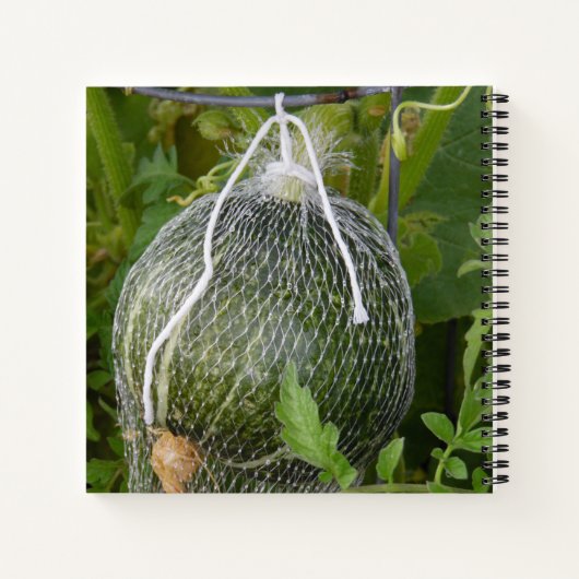 Garden Pumpkin-Notebook Notizblock (Rückseite)