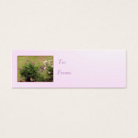Garden Rose Geschenk Tag
