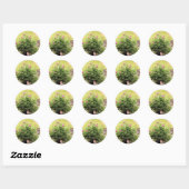 Garden Rose Stickers (Blatt)