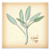 Garden Sage Herb Foto Print (Vorne)