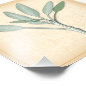 Garden Sage Herb Foto Print (Ecke)
