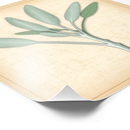 Garden Sage Herb Foto Print (Ecke)