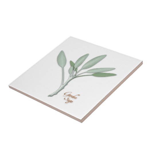Garden Sage Herb Keramik Tile Fliese (Seite)