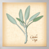 Garden Sage Herb Poster (Vorne)