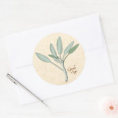 Garden Sage Herb Stickers (Umschlag)