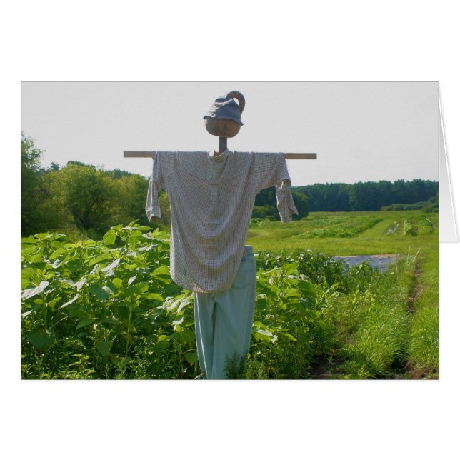 Garden Scarecrow Nature Fotografy Card (Vorderseite (Horizontal))