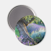 Garden scenic with flowers, Frankreich Magnet (Vorderseite/Rückseite)