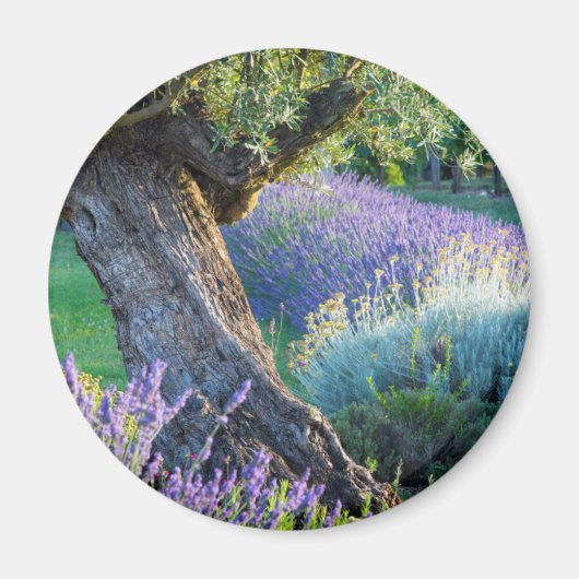 Garden scenic with flowers, Frankreich Magnet (Vorne)