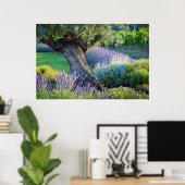 Garden scenic with flowers, Frankreich Poster (Heimbüro)