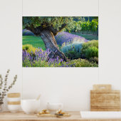 Garden scenic with flowers, Frankreich Poster (Küche)