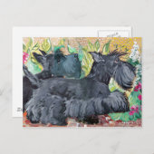 Garden Scottish Terriers Postkarte (Vorne/Hinten)