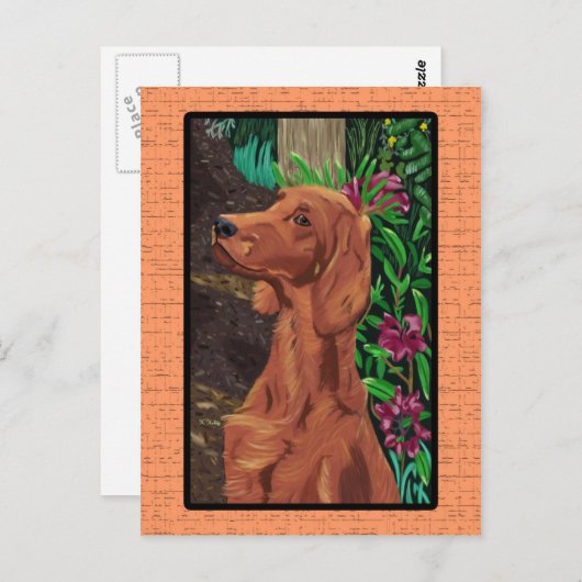 Garden Setter Postkarte (Vorne/Hinten)