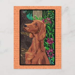 Garden Setter Postkarte