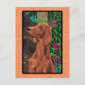 Garden Setter Postkarte (Vorderseite)
