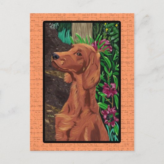 Garden Setter Postkarte (Vorderseite)