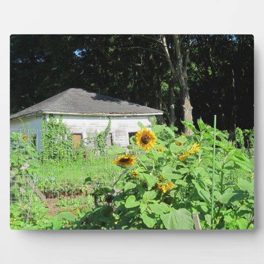 Garden Shed Plaque Fotoplatte (Vorderseite)