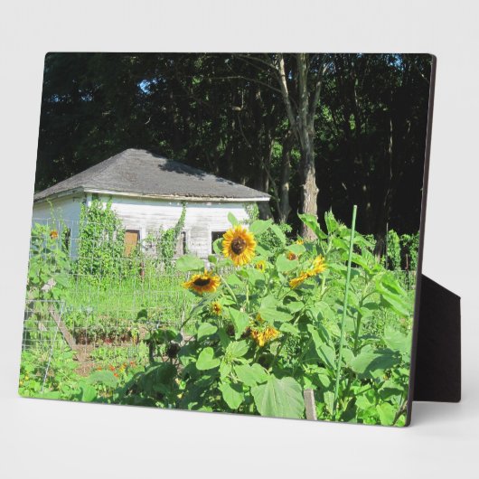 Garden Shed Plaque Fotoplatte (Seite)
