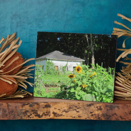 Garden Shed Plaque Fotoplatte (Seite)