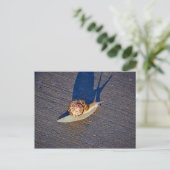 Garden Snail Postcard Postkarte (Stehend Vorderseite)