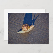 Garden Snail Postcard Postkarte (Vorne/Hinten)