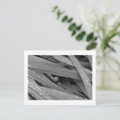 Garden Snail Postcard Postkarte (Stehend Vorderseite)