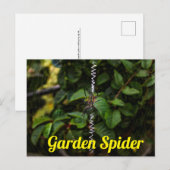 Garden Spione Gebäude a Web Postard Postkarte (Vorne/Hinten)
