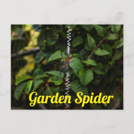 Garden Spione Gebäude a Web Postard Postkarte