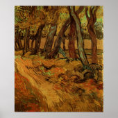 Garden St Paul Hospital Abbildung von Vincent van  Poster (Vorne)