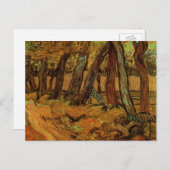 Garden St Paul Hospital Abbildung von Vincent van Postkarte (Vorne/Hinten)