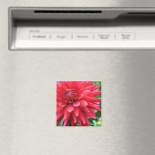 Garden Star Dahlia Magnet (In Situ (Geschirrspüler))