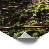 Garden Sunshine Print Poster (Ecke)