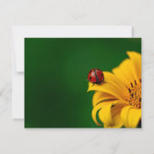Garden Themed Sonnenblumen und Ladybug Einladung (Rückseite)