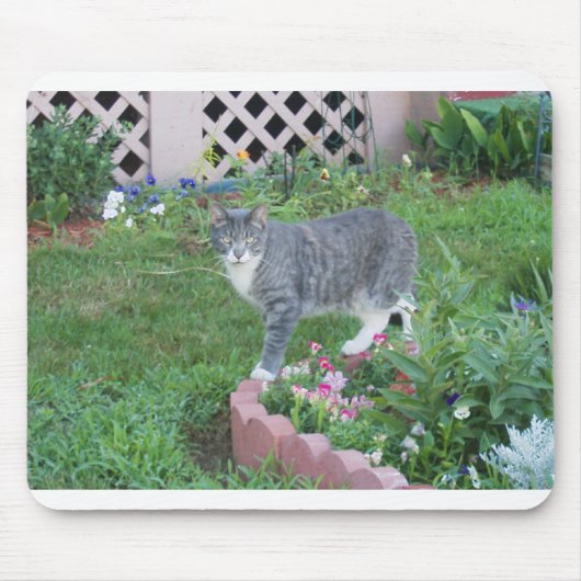 GARDEN TIGER MOUSEPAD (Vorne)