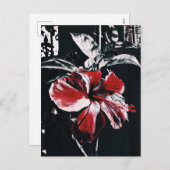 Garden Tropischer Hibiskus Feiertagspostkarte (Vorne/Hinten)
