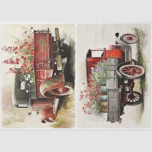 Garden Trucks Seidenpapier (Vorderseite)