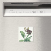 Garden Tulip, aus der "Oper Botanica", mit der Gra Magnet (In Situ (Geschirrspüler))
