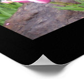 Garden Tulips Picture Poster (Ecke)