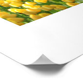 Garden Tulips Poster (Ecke)
