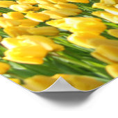 Garden Tulips Poster (Ecke)