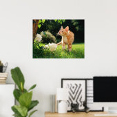 Garden Walk Tabby Cat Print Poster (Heimbüro)
