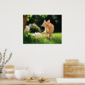 Garden Walk Tabby Cat Print Poster (Küche)