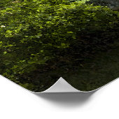 Garden Waterfall Poster (Ecke)