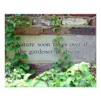 Garden Weeding Wisdom at Inniswood Park Fotodruck