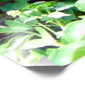 Garden Weeding Wisdom at Inniswood Park Fotodruck (Ecke)