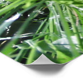 Garden Weeds Choden Garden Poster Print (Ecke)